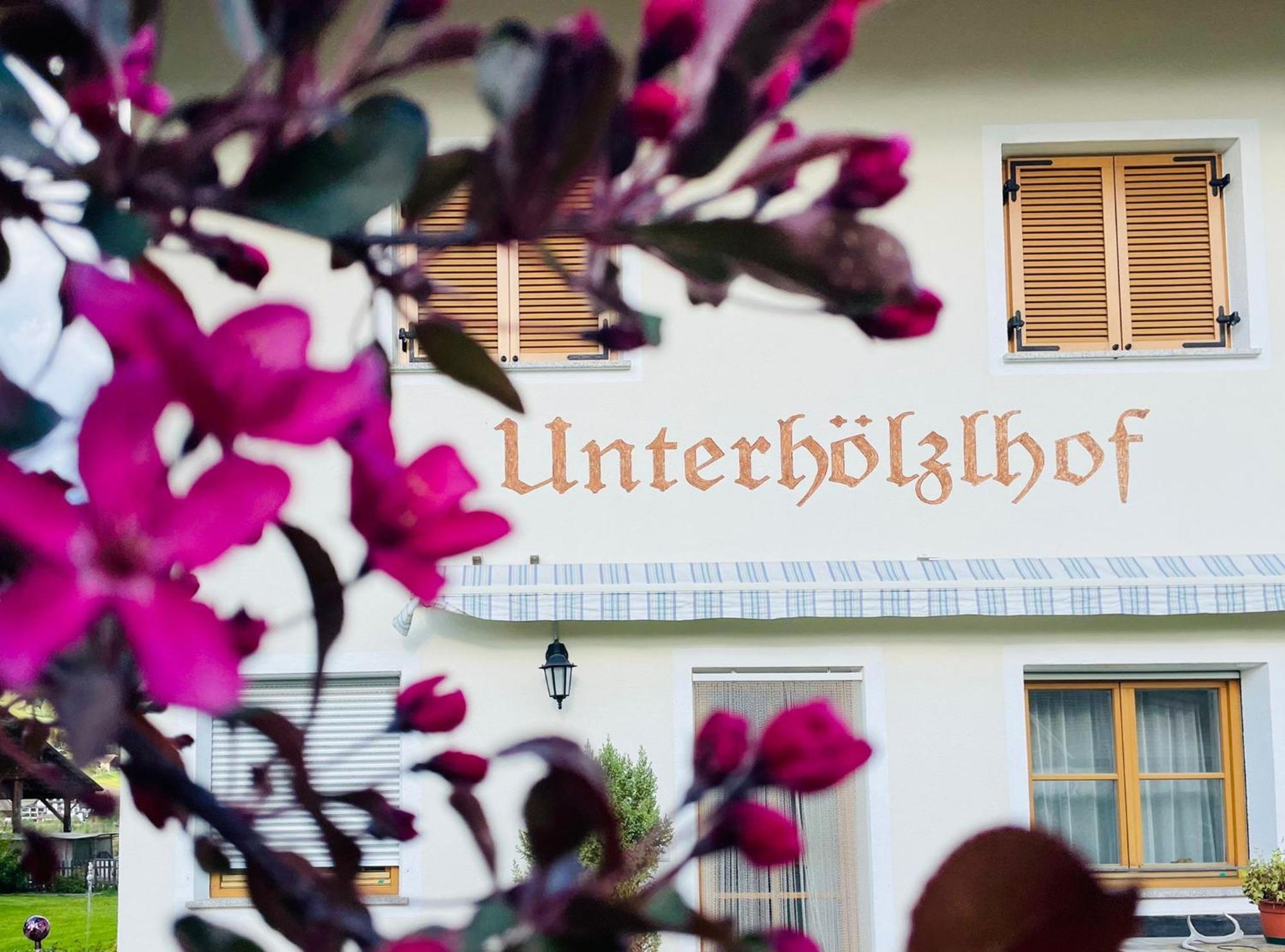 App - Chalet Unterhoelzlhof Valdaora Kültér fotó